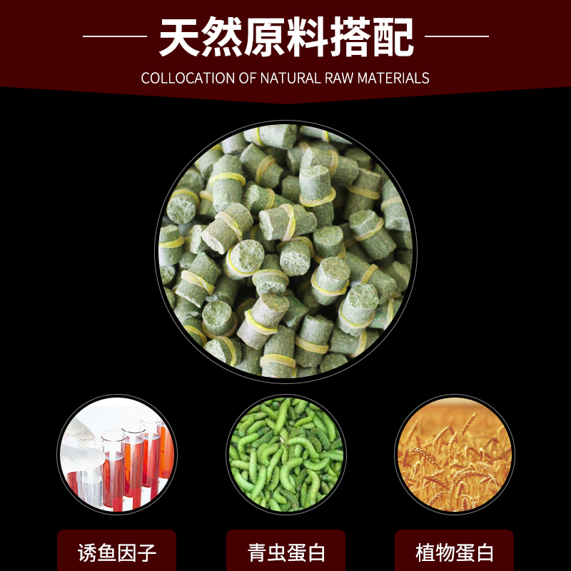 夏天钓青鱼用什么饵料(夏天钓青鱼钓深还是钓浅)
