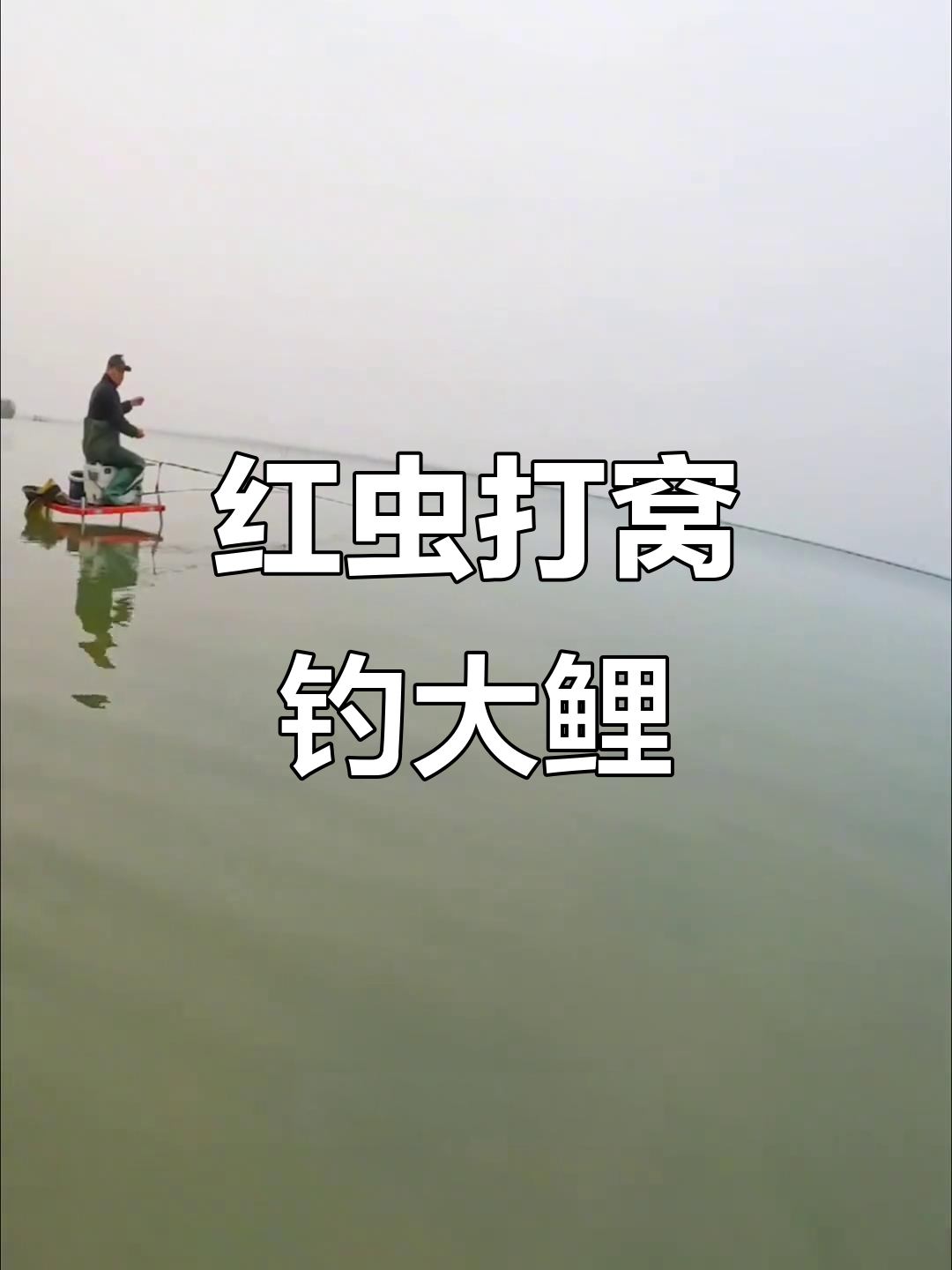 春天串钩红虫钓鱼技巧(串钩 红虫)
