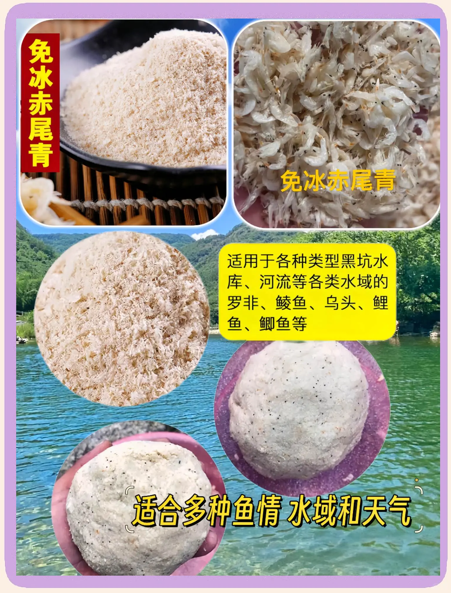 饵料虾粉比例(野钓饵料加虾粉)