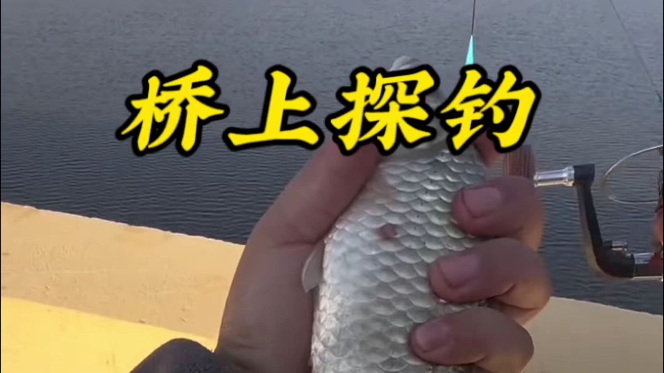 晚上在桥上钓鱼技巧(晚上在桥上钓鱼技巧视频)
