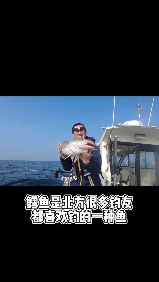 沉船钓鳕鱼技巧(船钓鳕鱼的钓钓组讲解)