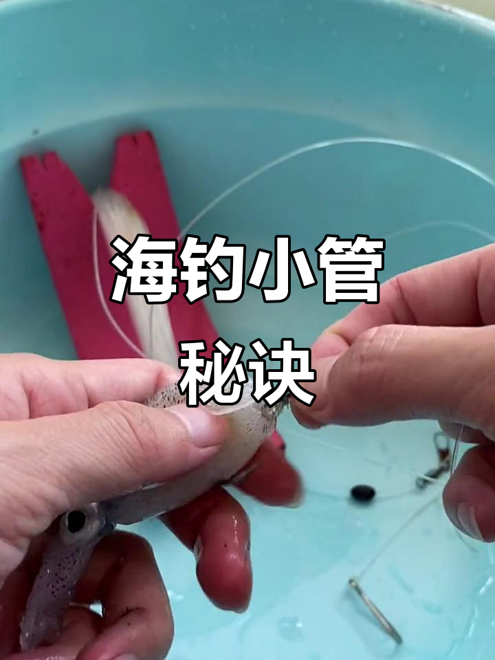 海钓基本技巧视频教程(海钓基本技巧视频教程图解)