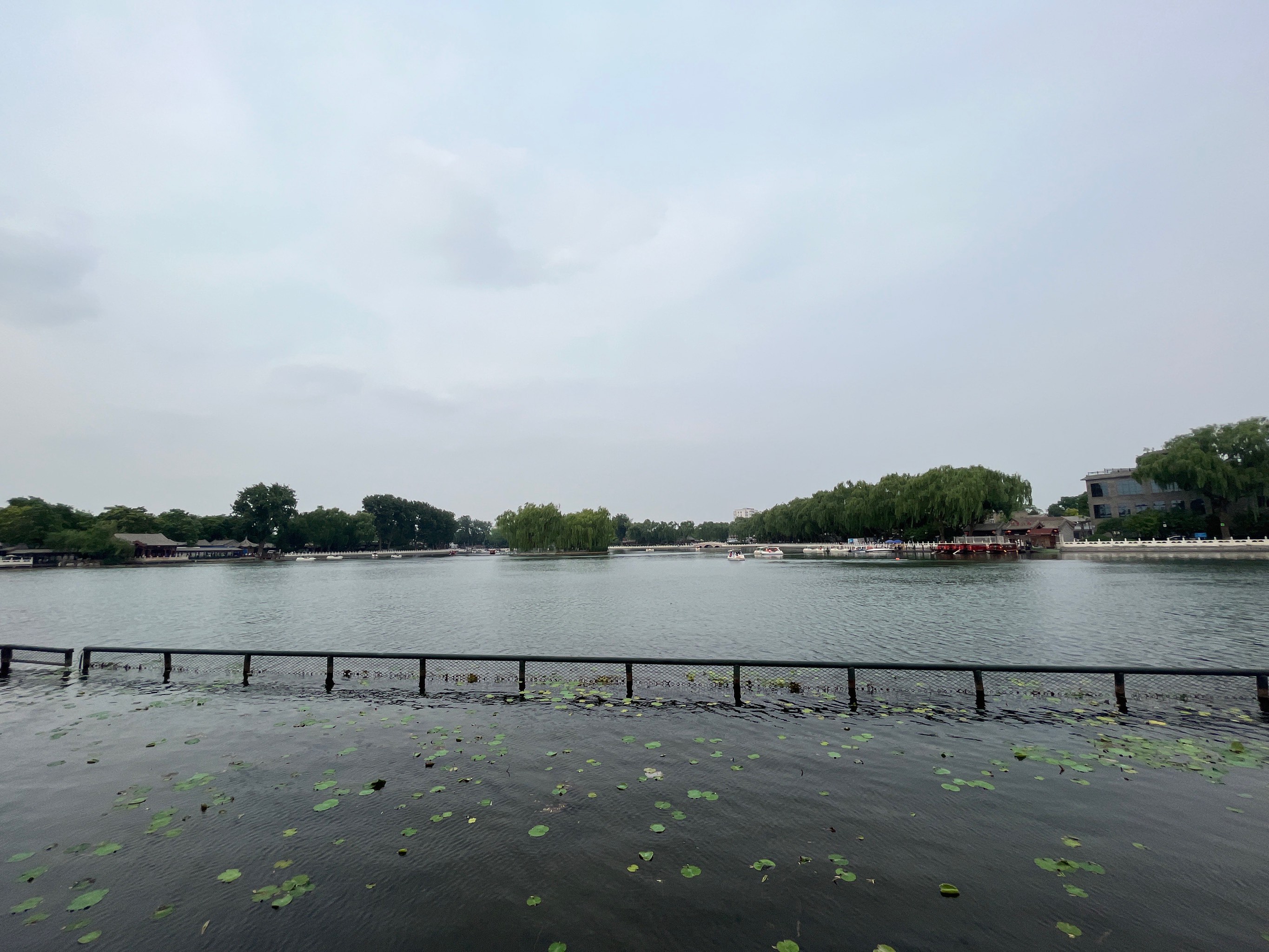 北京什刹海钓鱼(北京什刹海钓鱼位置)
