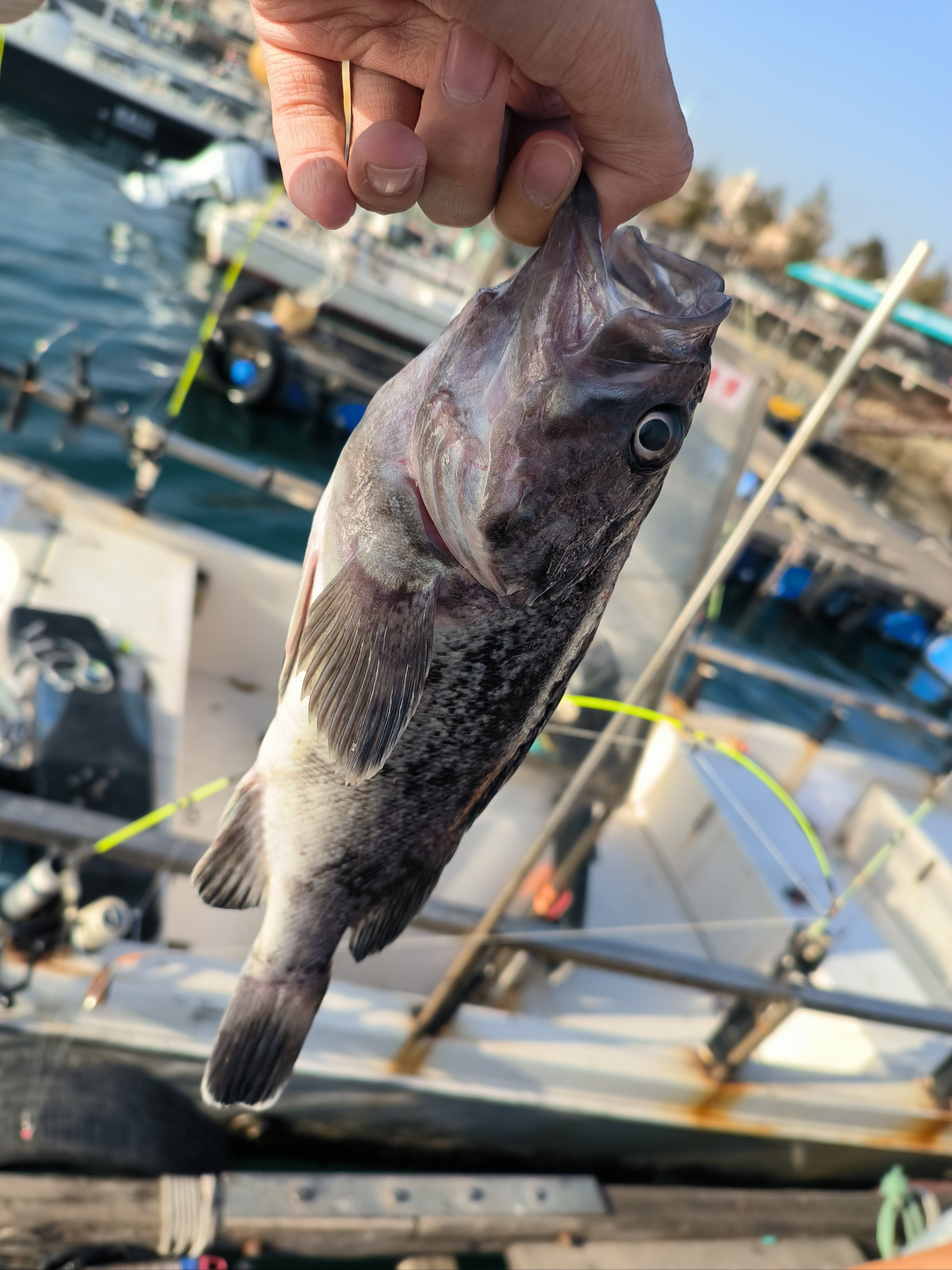 春末海钓天气选择(春天海钓技巧要三钓三不钓)