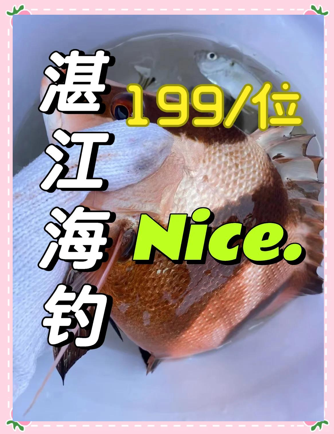 广东湛江出海钓鱼(广东湛江出海钓鱼的地方)