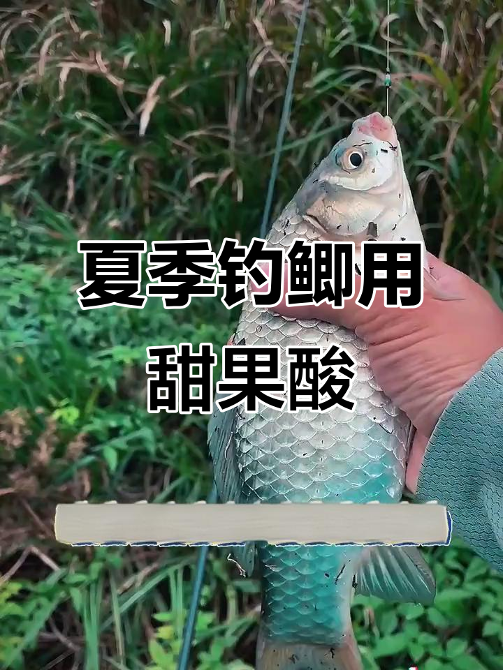 饵料野钓鲫鱼饵料搭配(野钓鲫鱼饵料该如何搭配)