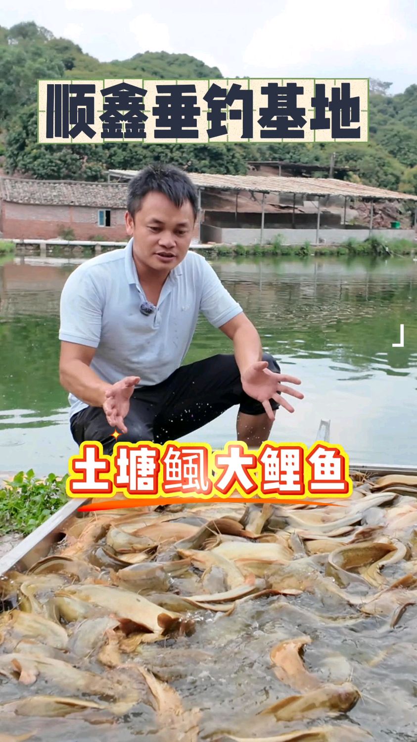 钓塘虱的技巧(钓塘虱的技巧视频)