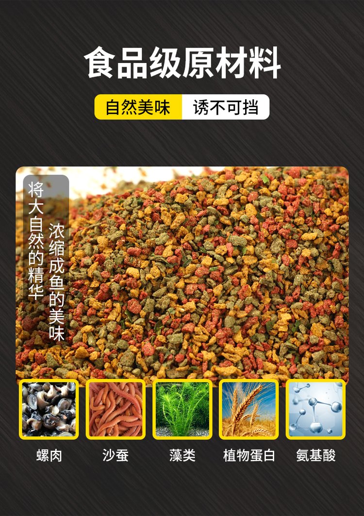 鲤鱼专攻商品饵料(鲤鱼主攻饵料有哪些)