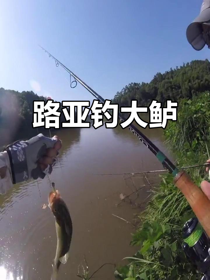 赤壁路亚钓场(赤壁陆水湖钓鱼要钱吗)