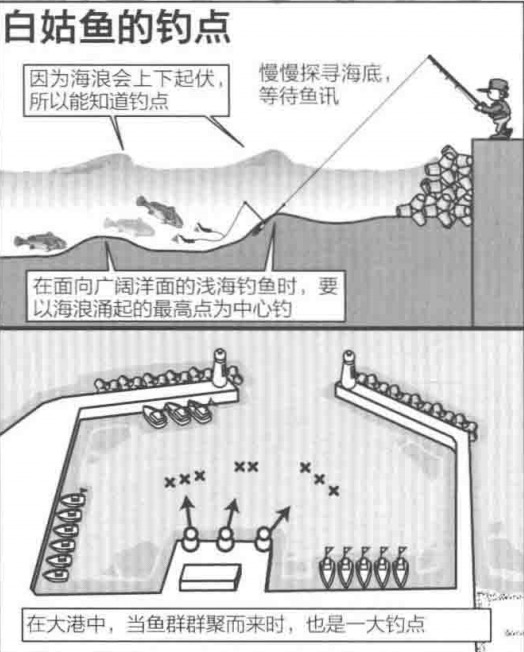海钓入门级课程(初学海钓入门教程)