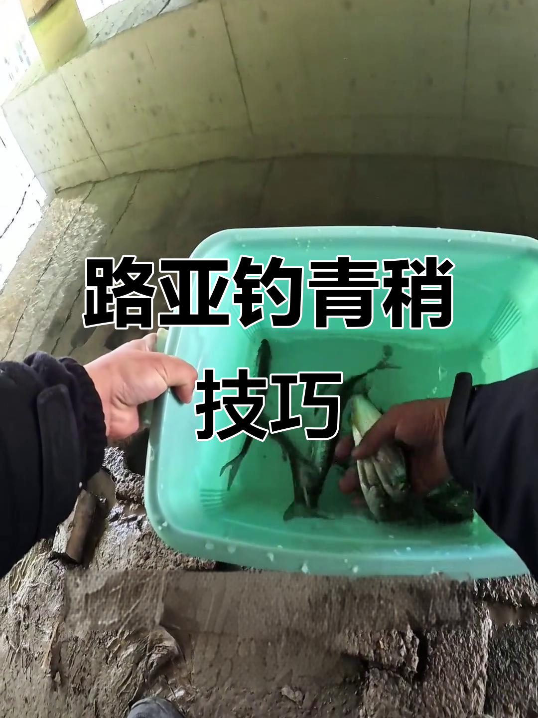 路亚钓刀鱼的技巧(路亚刀片的操作手法视频)