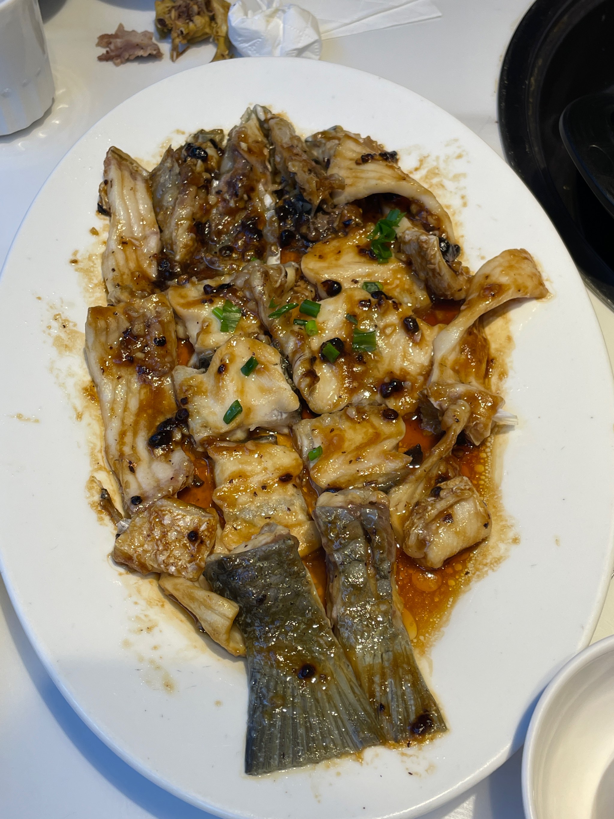 钓湾鱼的技巧视频(钓鱼钓弯的哪个位置最好)