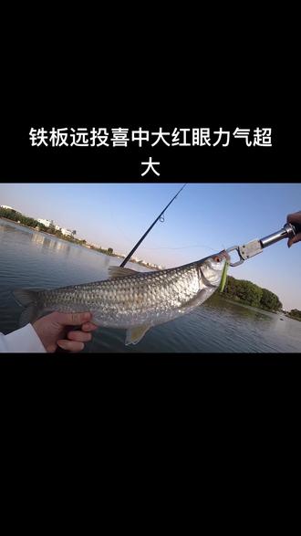 韩江能路亚吗(韩江路亚用什么饵)