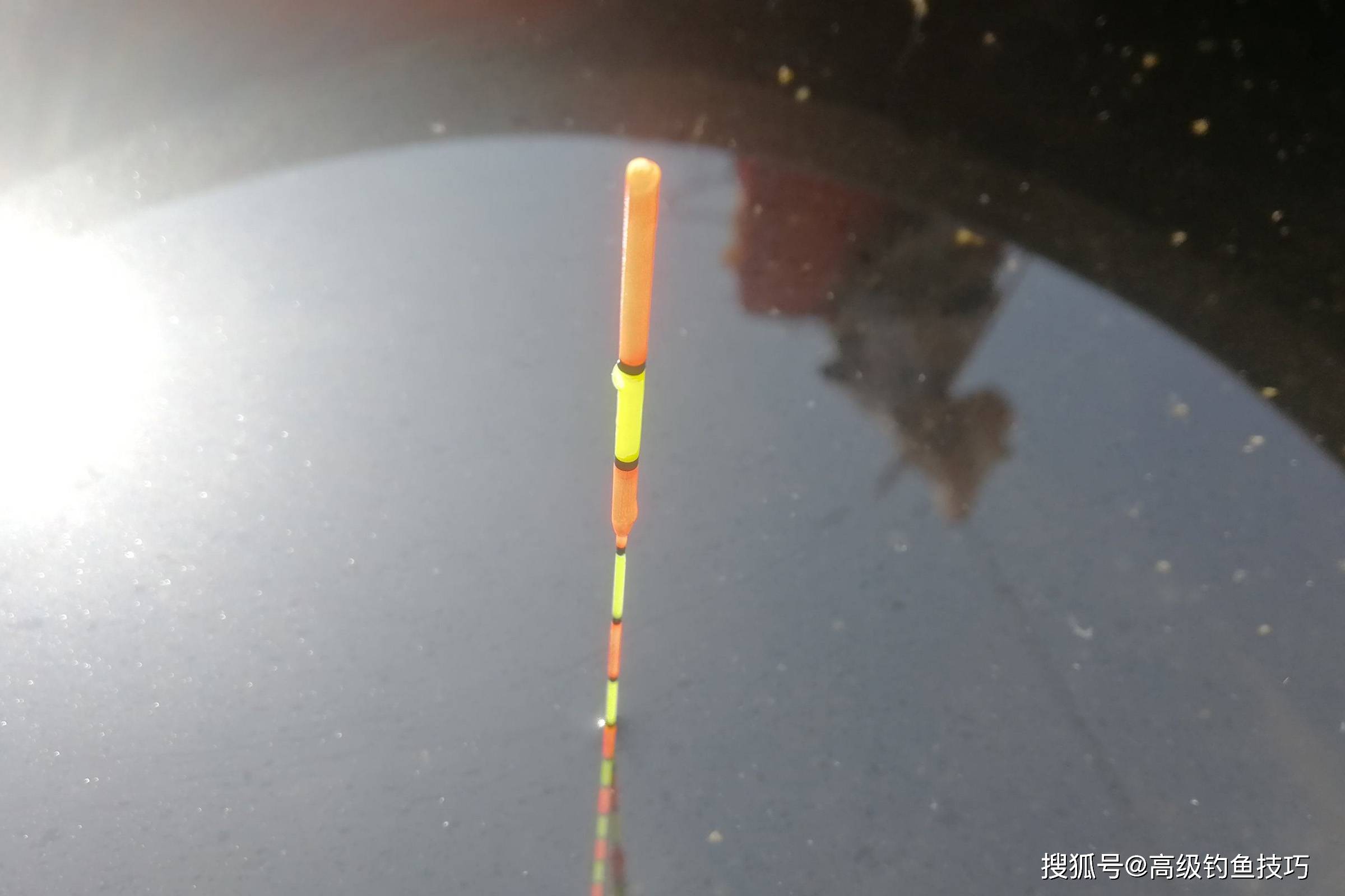 黑坑开塘抢鱼技巧(黑坑开塘抢鱼技巧和方法)