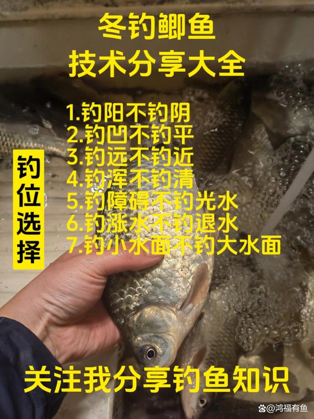 小河沟钓鲫鱼技巧(小河沟钓鲫鱼技巧图解)