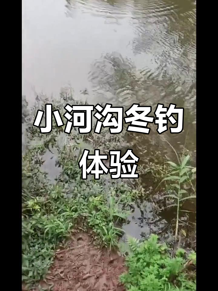 小河沟钓鲫鱼技巧(小河沟钓鲫鱼技巧图解)