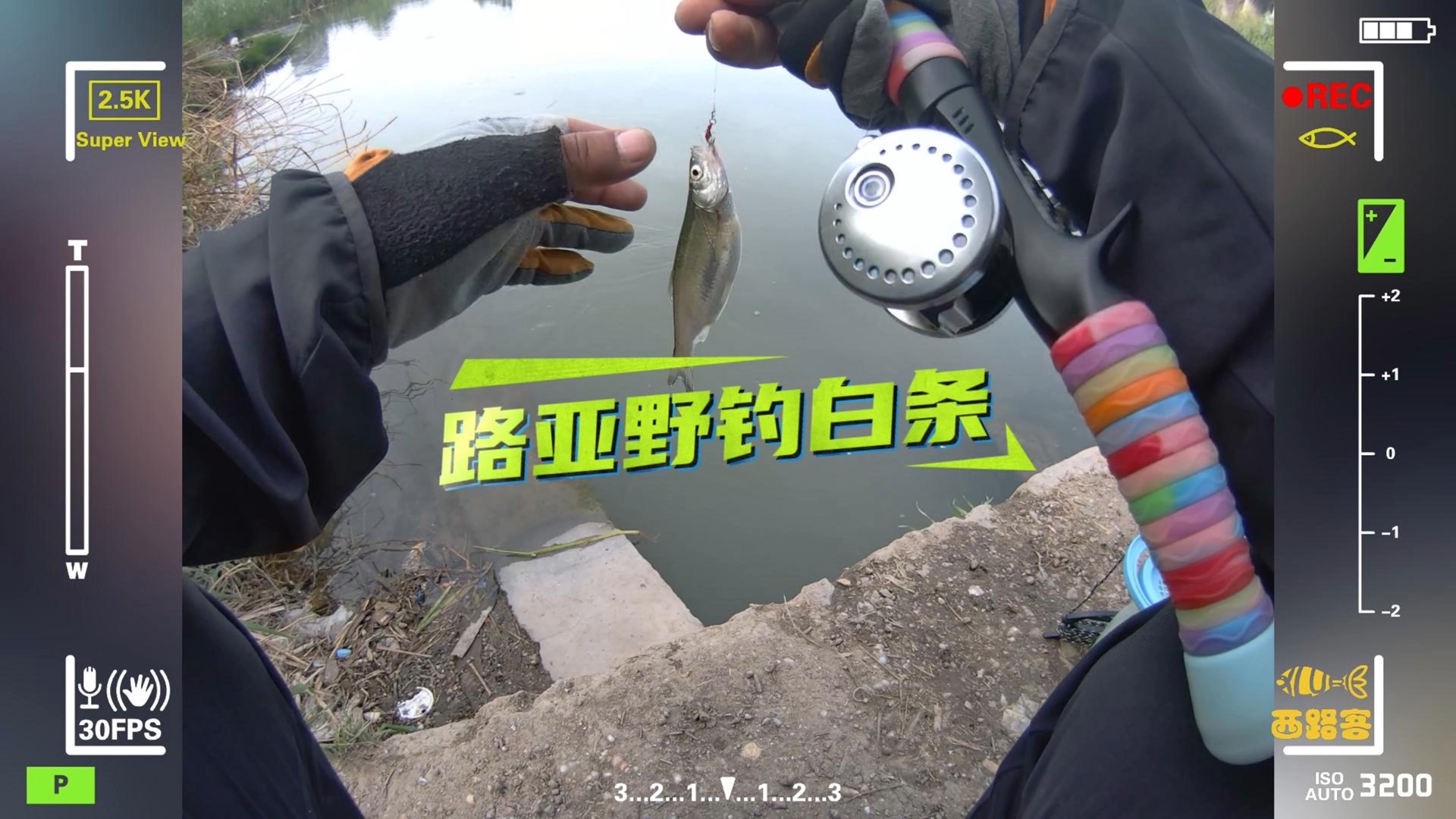 路路亚白条用什么线(路亚白条用什么线几号线)