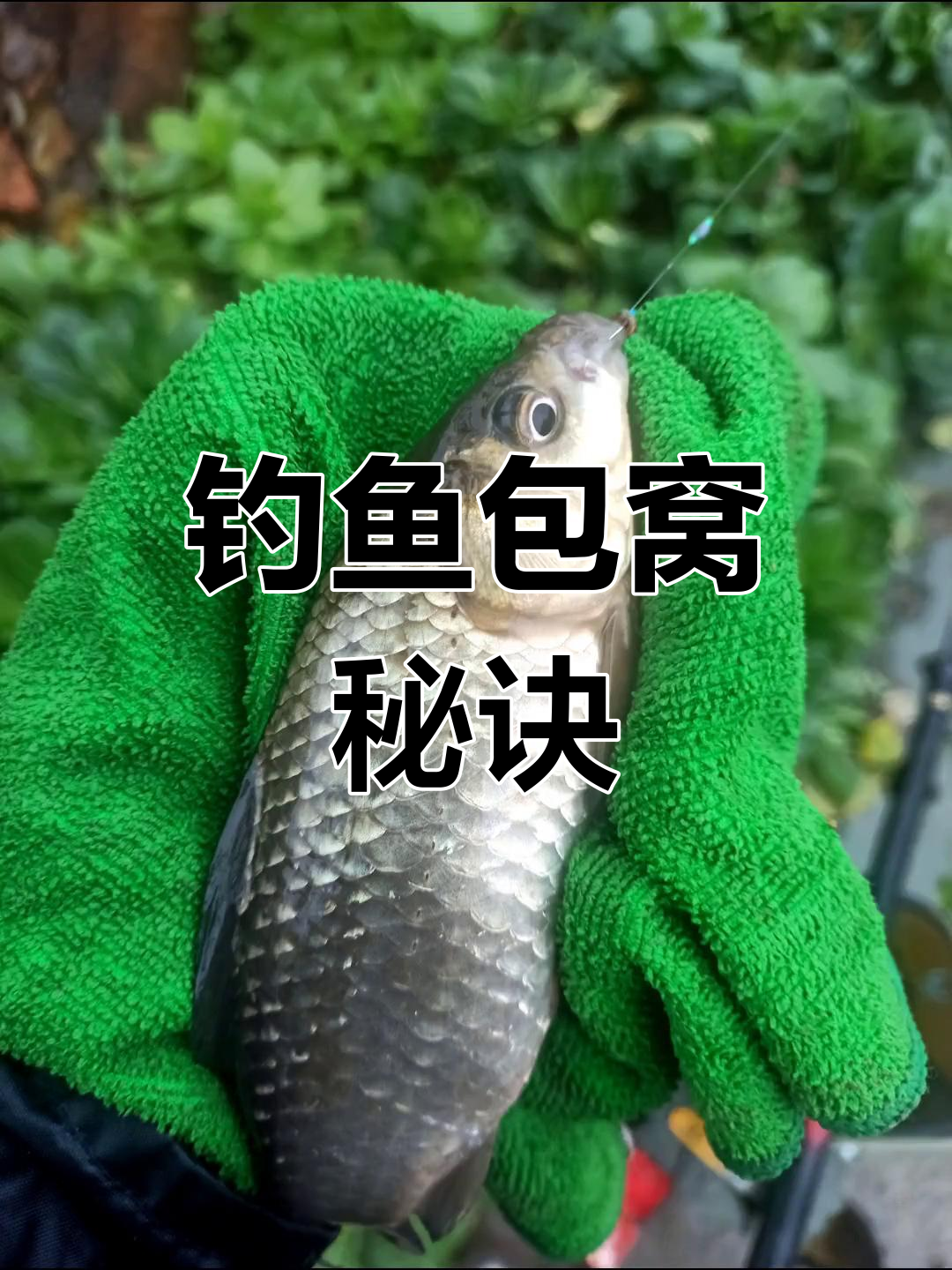 打窝料的技巧(最简单的打窝料配方)