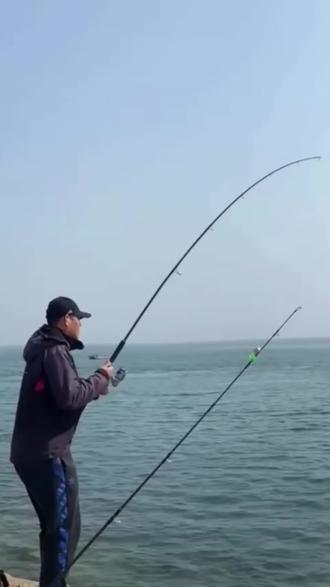 怎样海钓水面梭鱼(海钓梭鱼用什么饵最好呢)