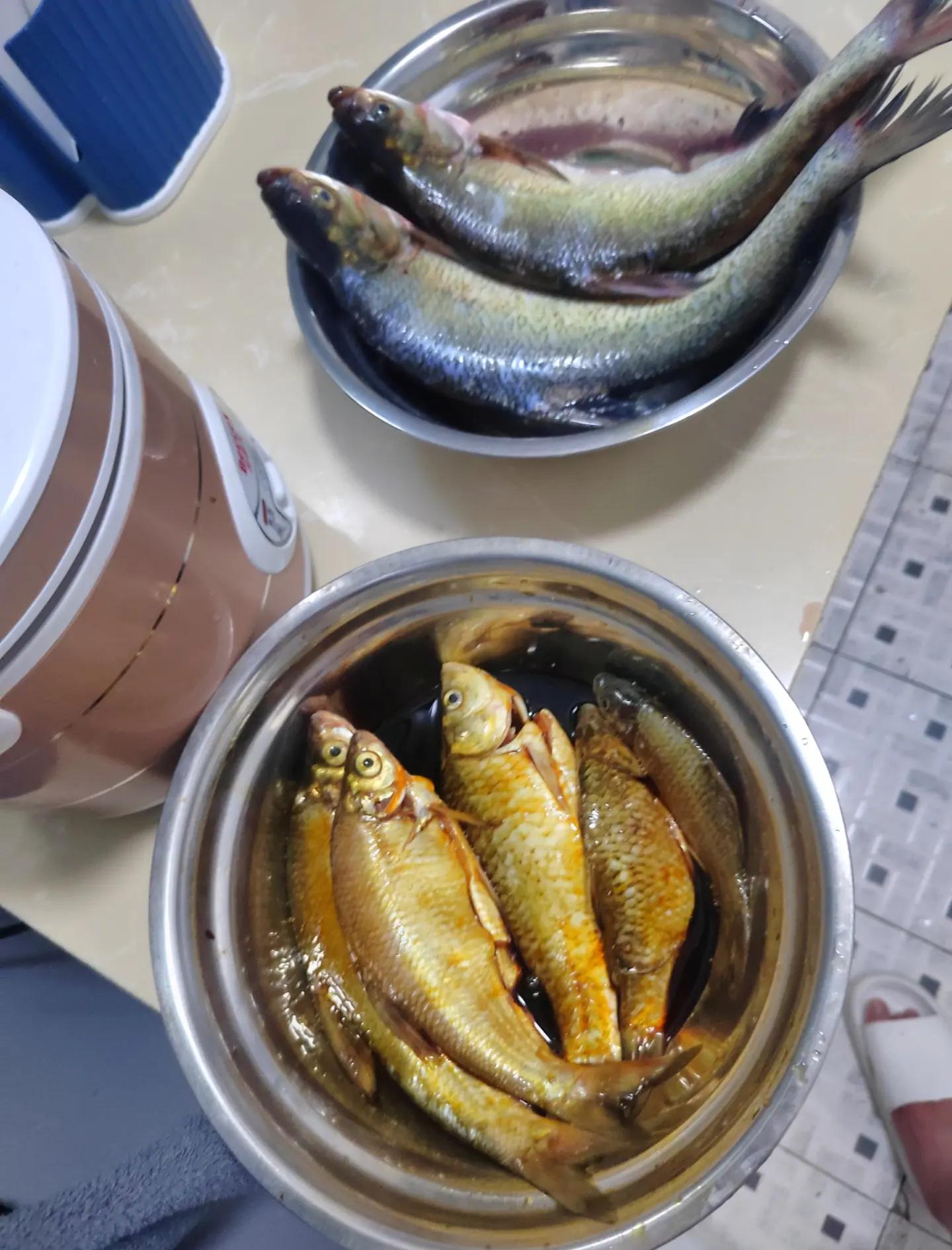 台钓进阶技巧(台钓进阶技巧视频教程)