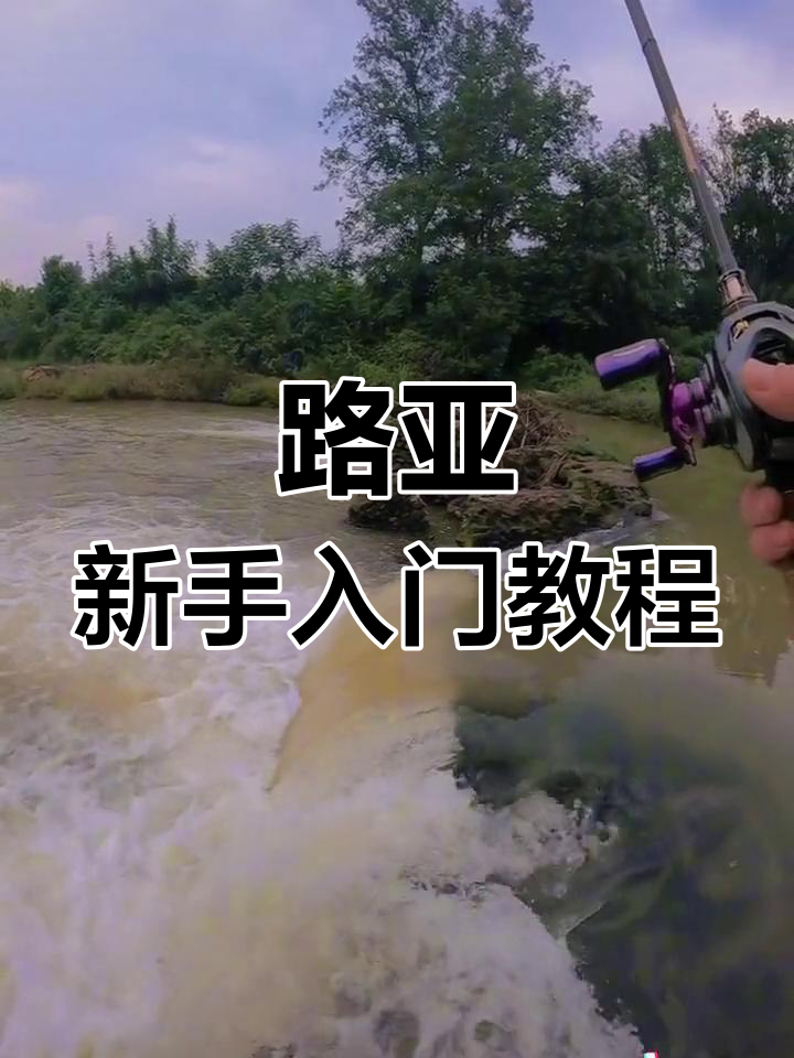 路亚马口抛投技巧(路亚马口竿抛投技巧视频)