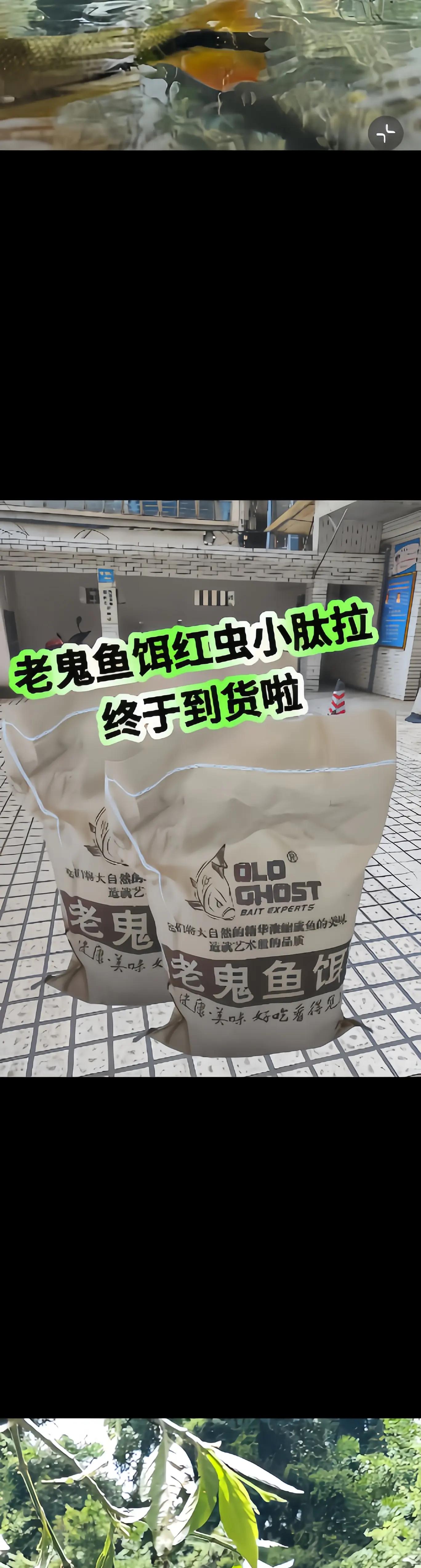 老鬼湖库饵料(老鬼湖库饵料搭配)