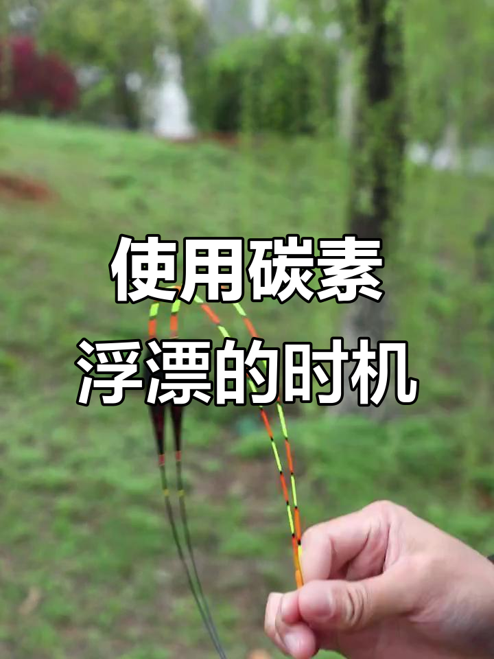 黑坑必备10个技巧(黑坑必备10个技巧图解)