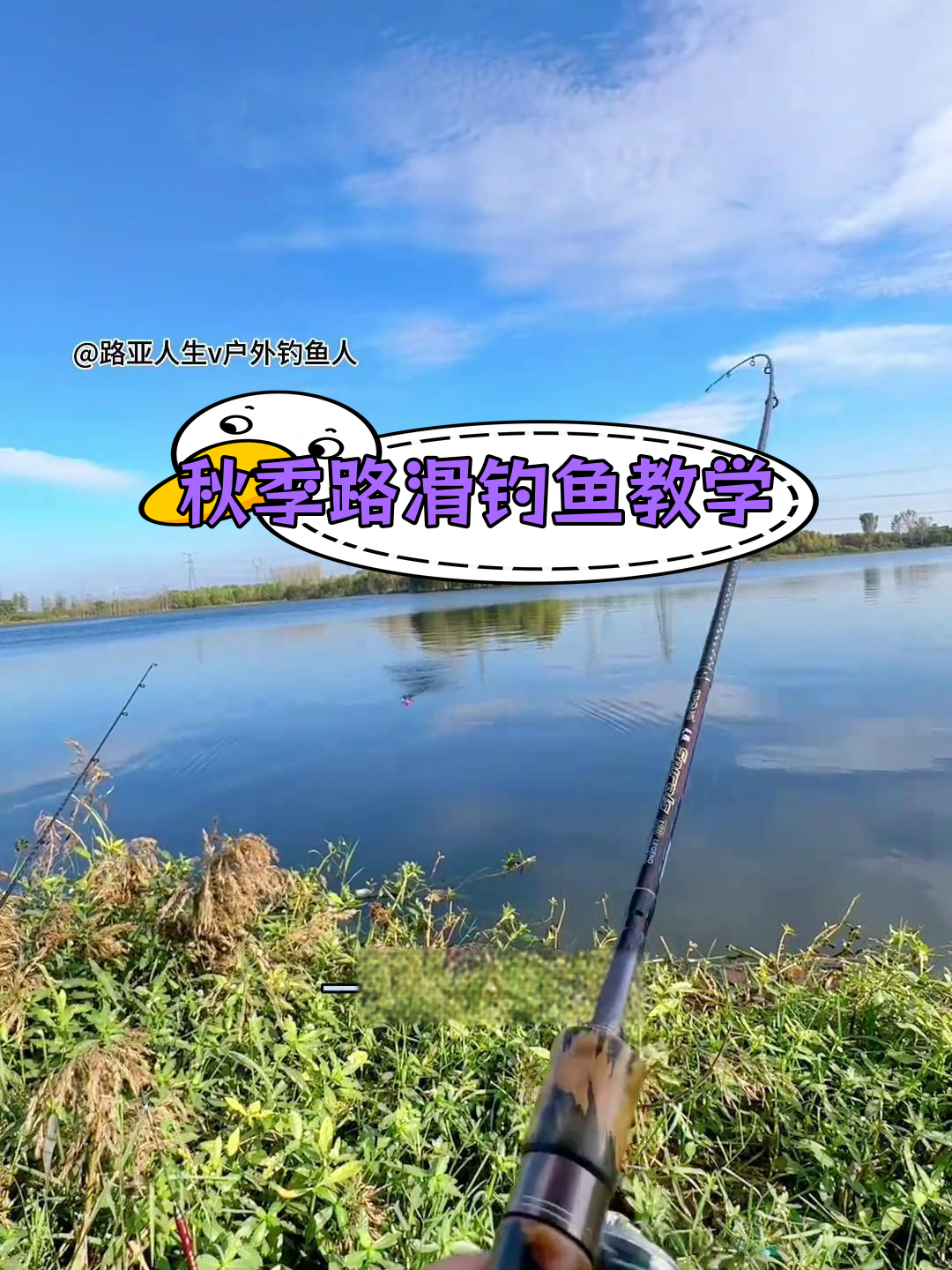 滑竿钓鱼技巧视频教程(滑竿钓鱼技巧视频教程全集)