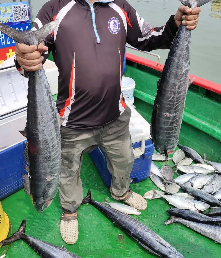 阳江出海钓鱼费用(阳江出海钓鱼怎么租船)