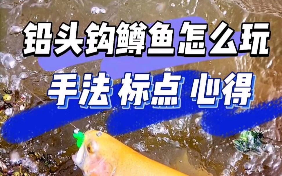 鳟鱼如何路亚(鳟鱼路亚饵选什么)