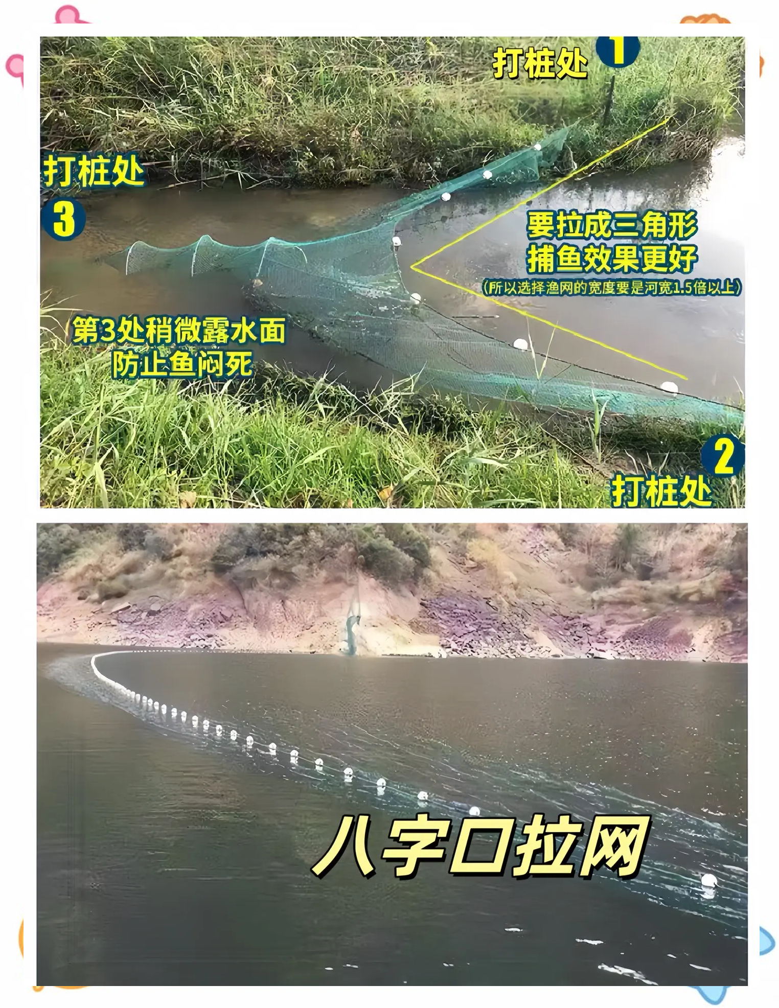 捕鲻鱼技巧(如何捕捉鳑鲏鱼)
