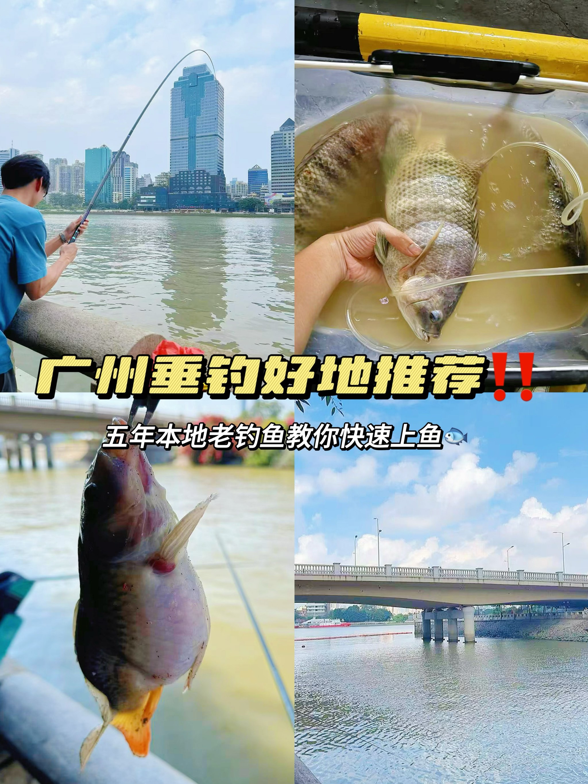 广州附近哪里能海钓(广州附近哪里能海钓鱼的地方)