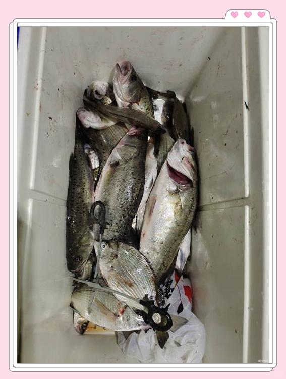 烟台海阳海钓论坛(烟台海阳海钓论坛电话)