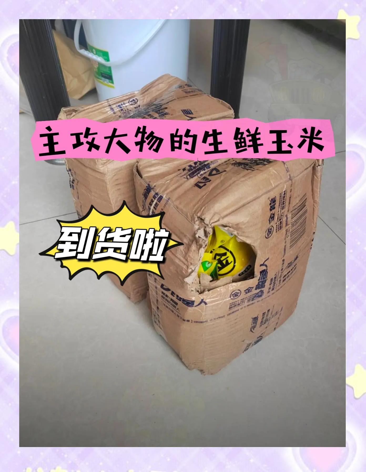 制作干玉米饵料(干玉米钓鱼泡制窝料)