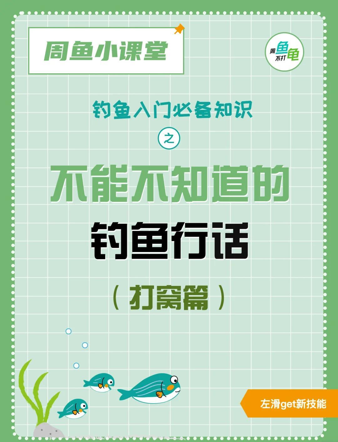 海钓溜子打窝子(海钓溜子打窝子技巧)