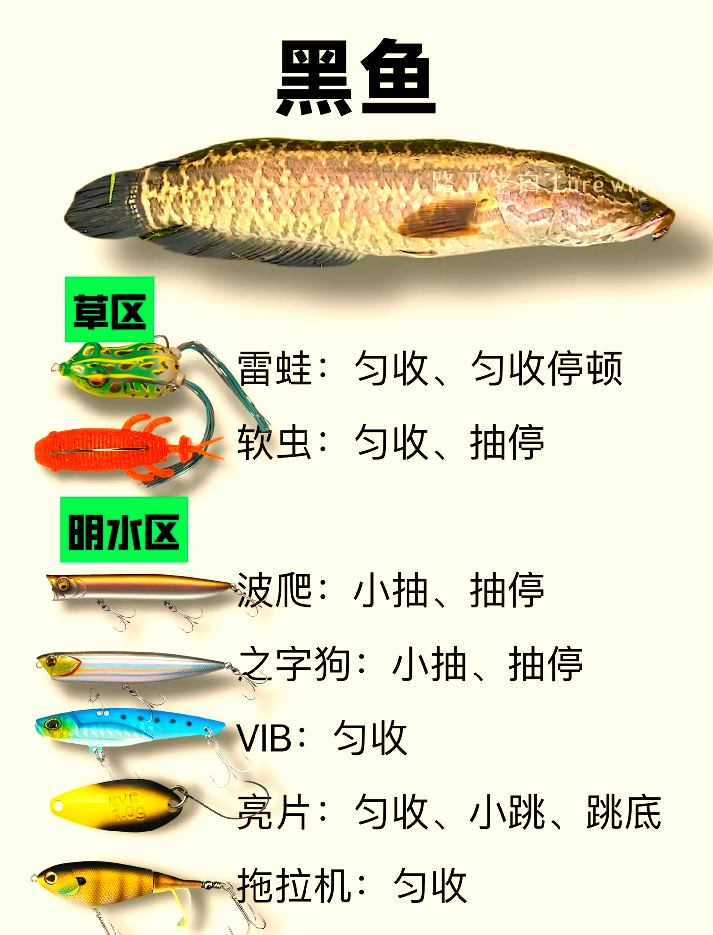 饵料用途讲解(饵料的原料有哪些)