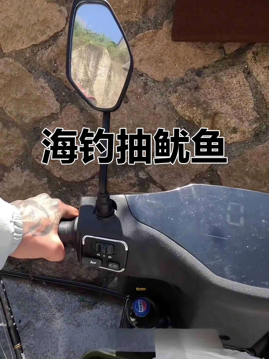 枸杞岛海钓能钓多少(枸杞岛钓鱼要带鱼竿吗)