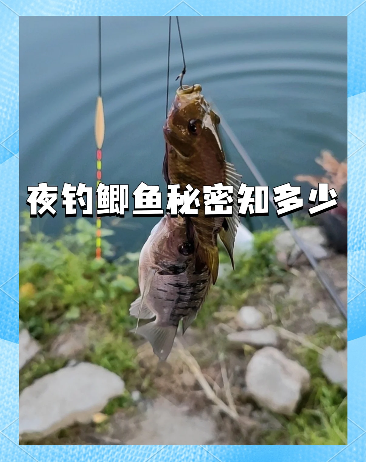 夜晚河里钓鱼技巧(夜晚在河里钓鱼用什么鱼饵最好)