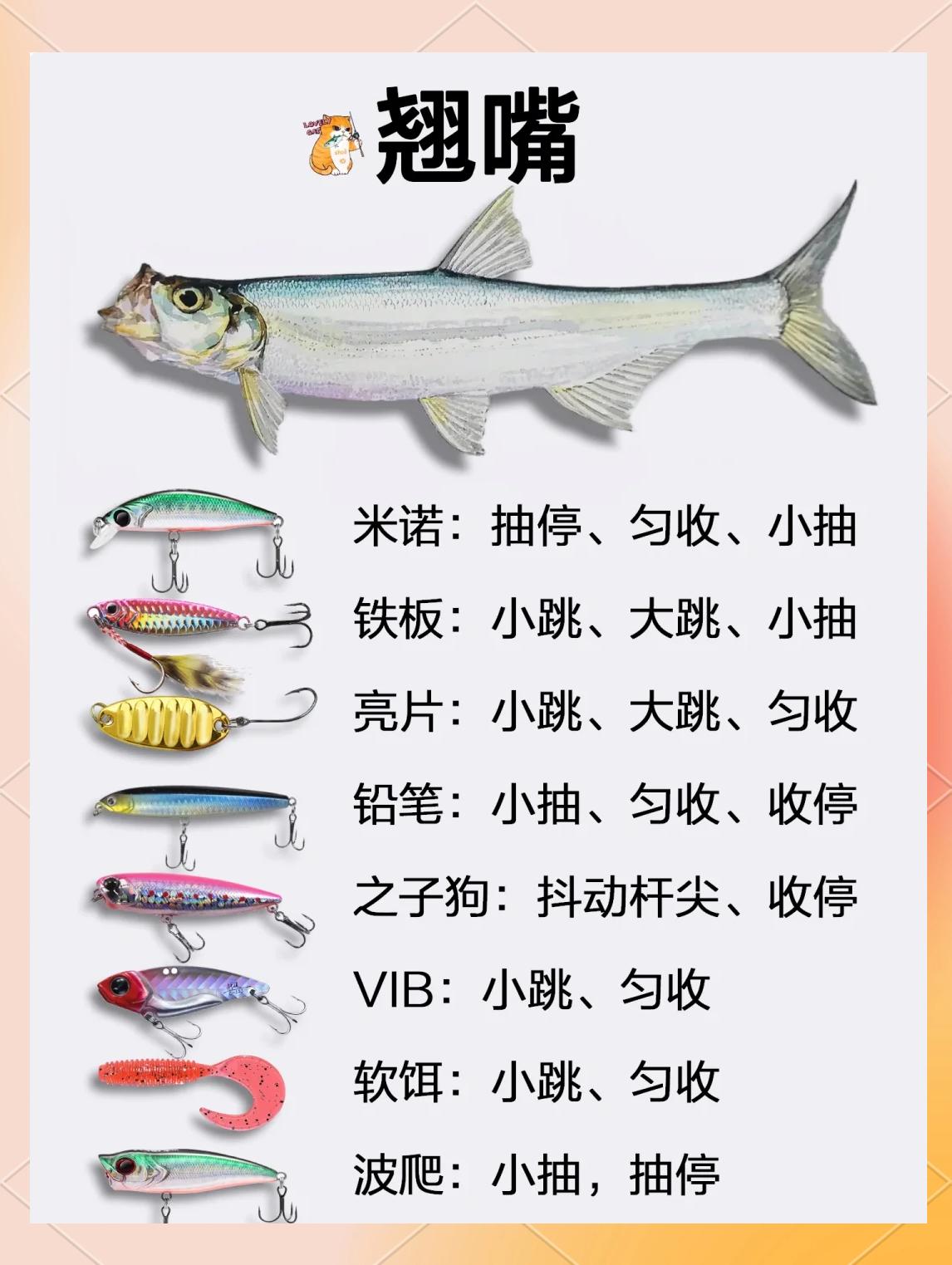 钓鱼料技巧(钓鱼的料子怎么合)