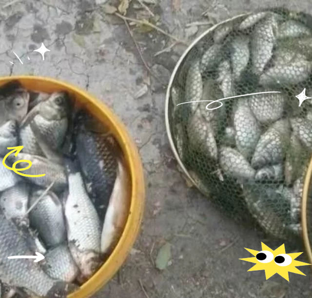 挂上饵料漂目不对(挂上饵料后漂下降很少)