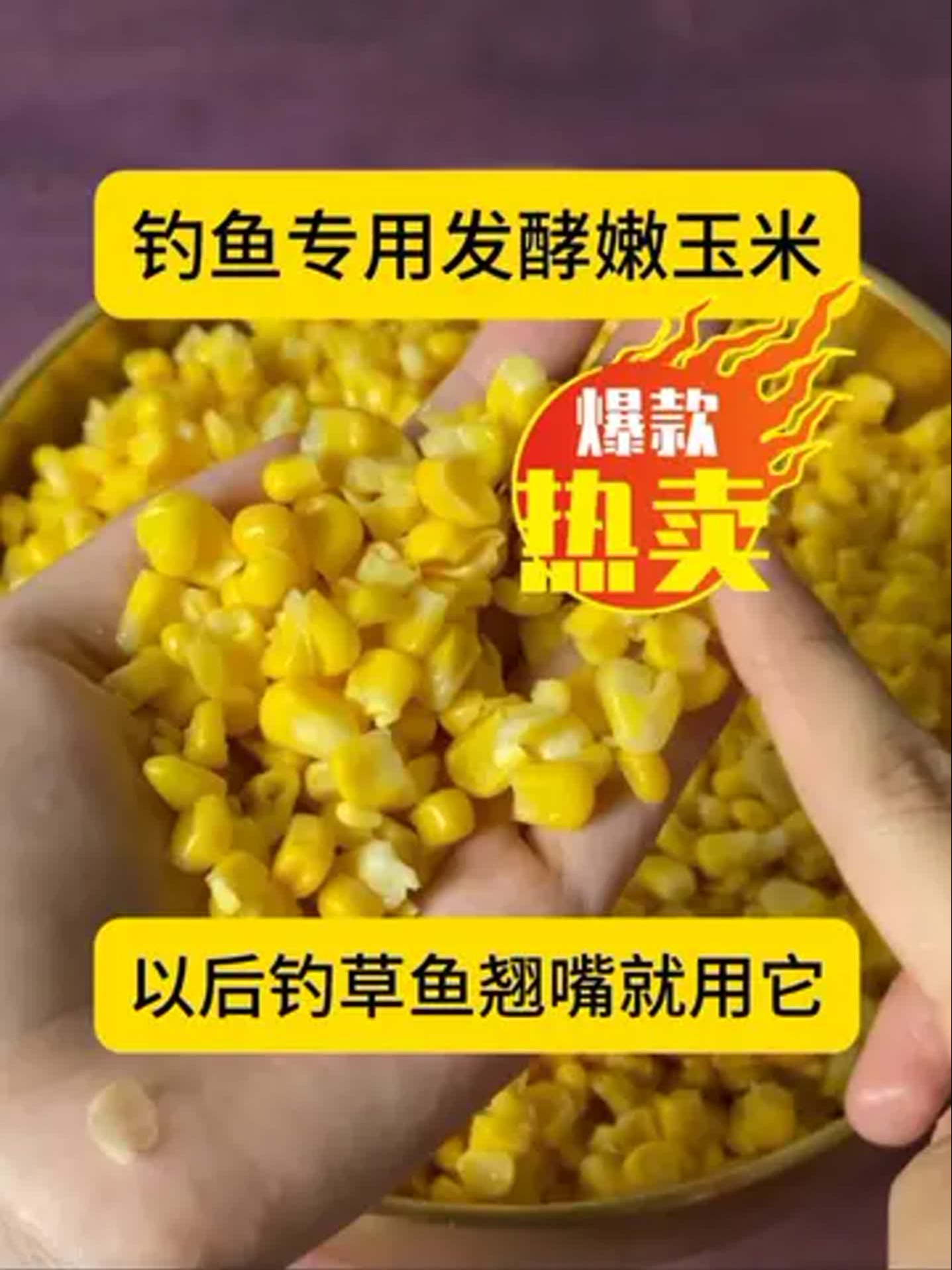 冬天玉米钓鱼技巧(冬天玉米钓鱼技巧图解)