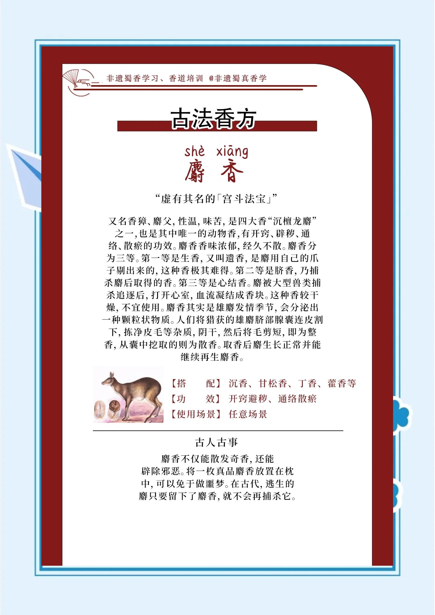 麝香味饵料配方(麝香味饵料怎么搭配)
