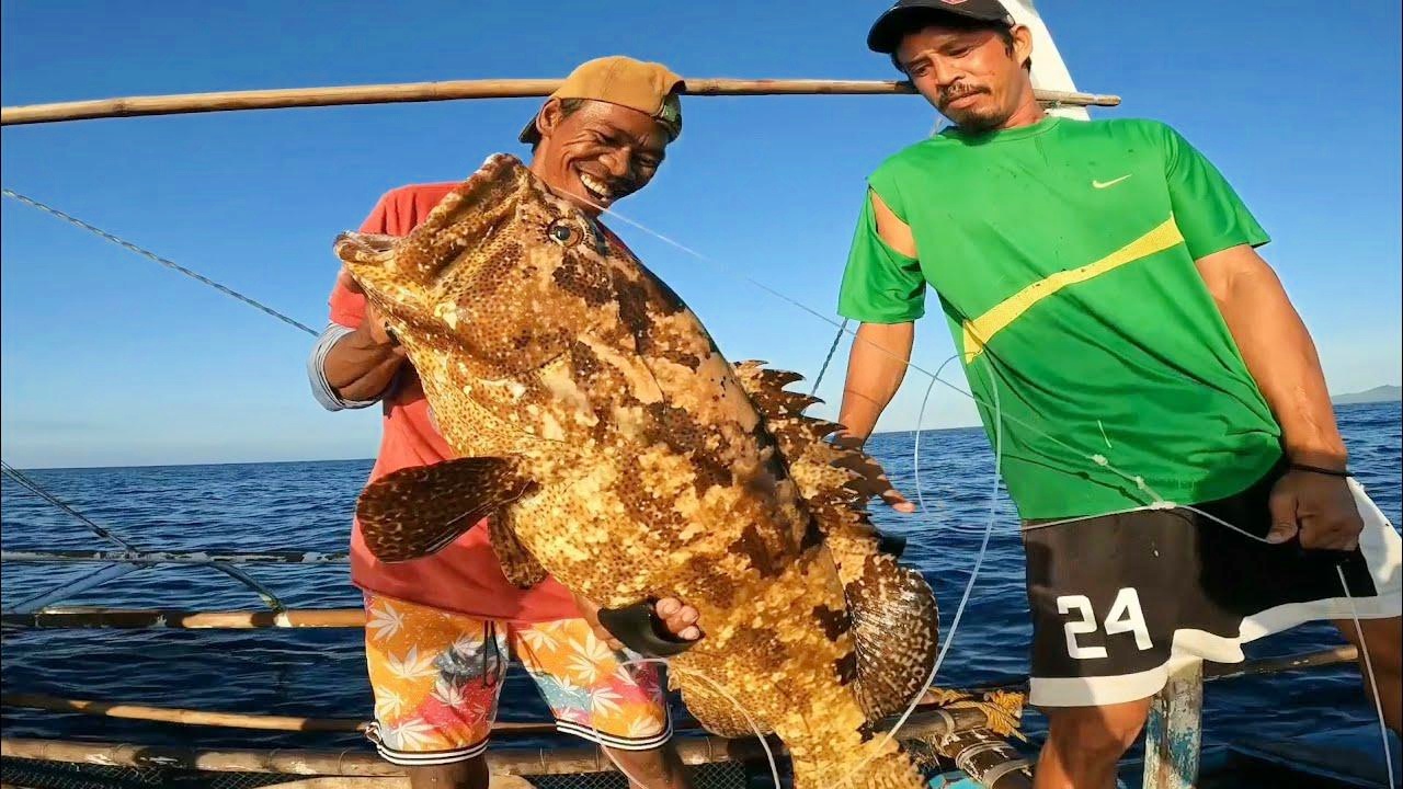 惠州海钓石斑(惠州海钓石斑鱼的地方)