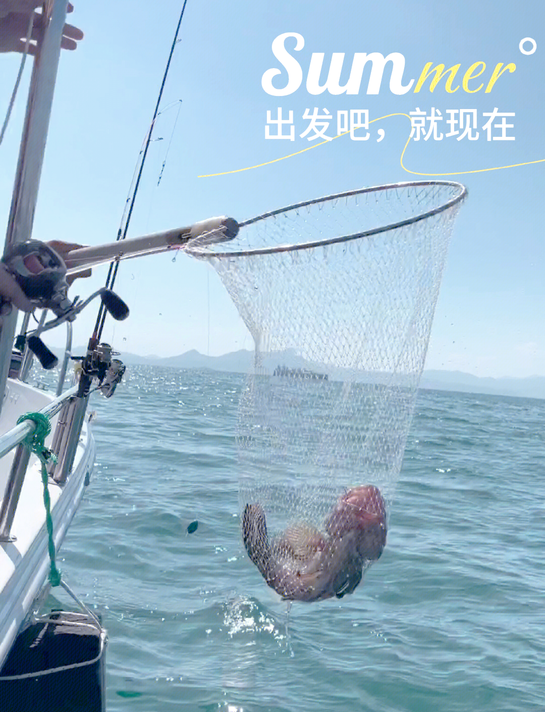 饶平海钓经验(饶平钓鱼好去处)