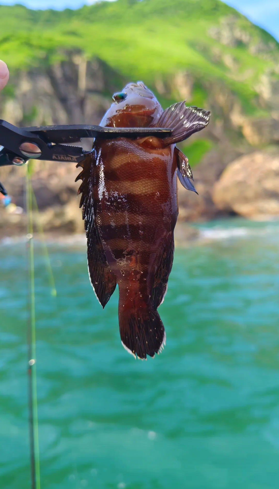 漳州码头海钓(漳州港哪有海钓的好地方)