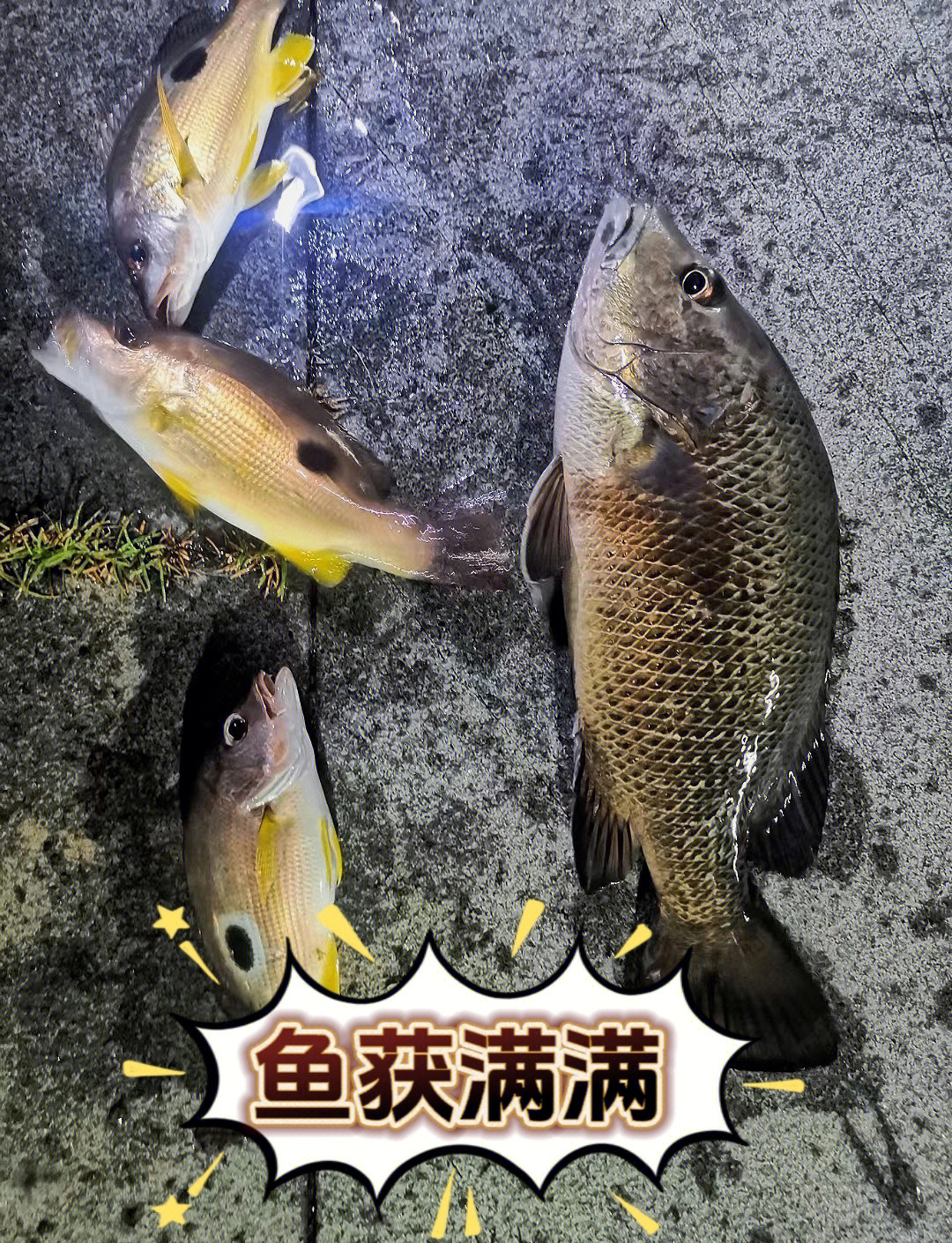 夜里海钓技巧(夜间海钓能钓到什么鱼)