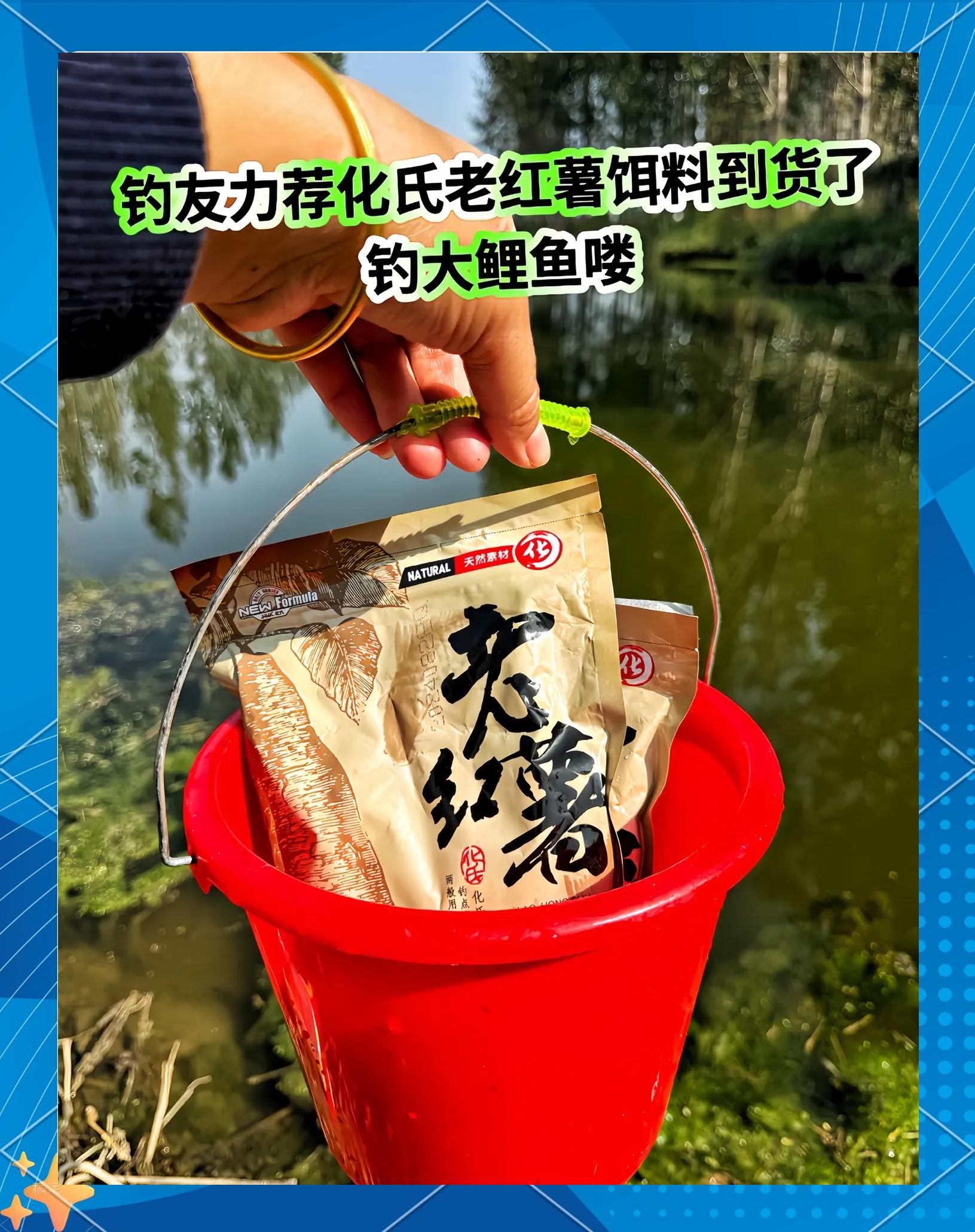 夏季鲤鱼怎么不吃饵料(野钓鲤鱼不吃饵料怎么办)