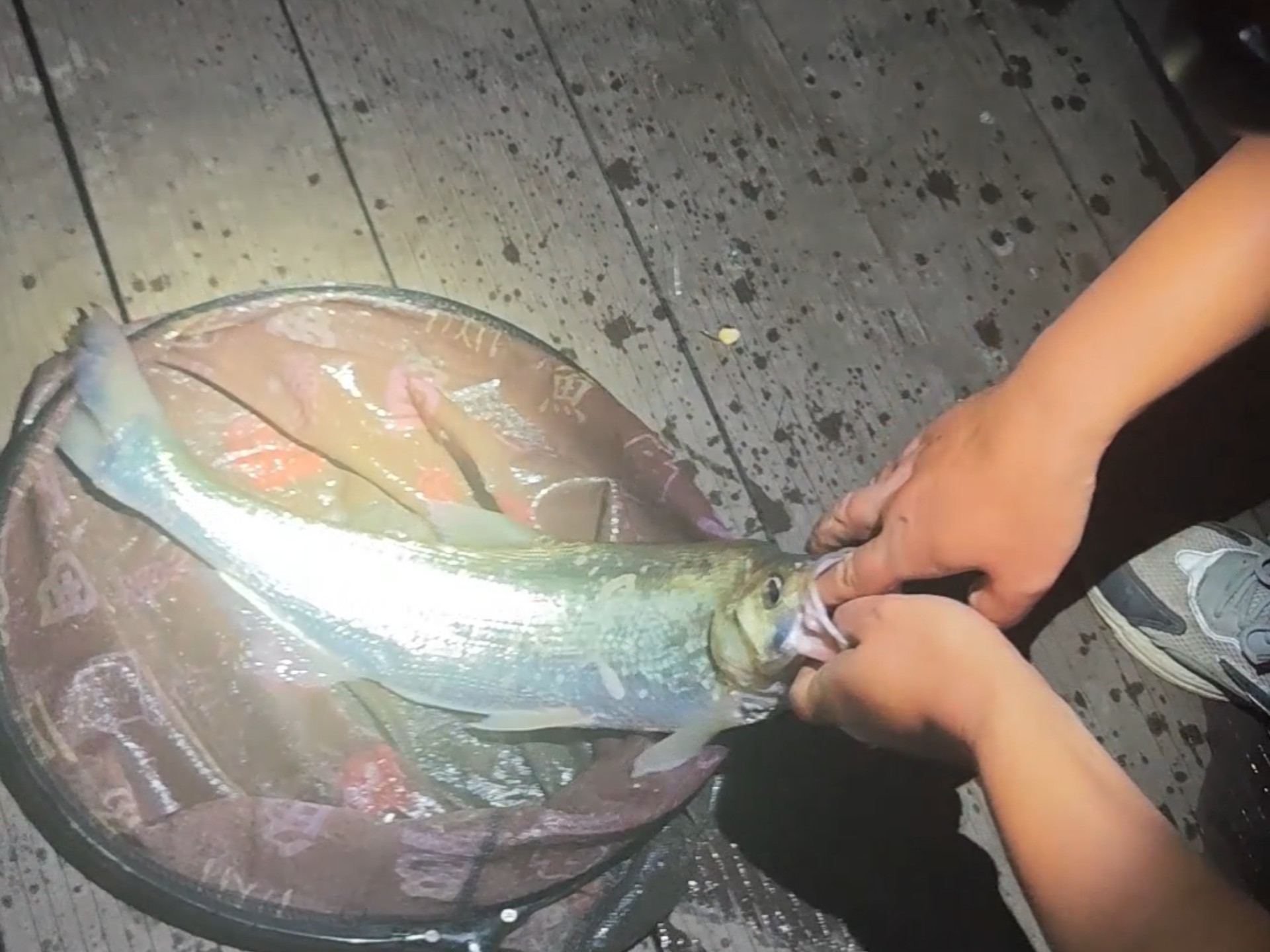 夜间路亚翘嘴(夜间路亚翘嘴用什么假饵)
