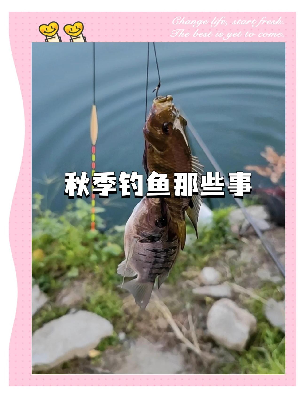 秋季野钓技巧(秋季野钓钓位图和鱼道图解)