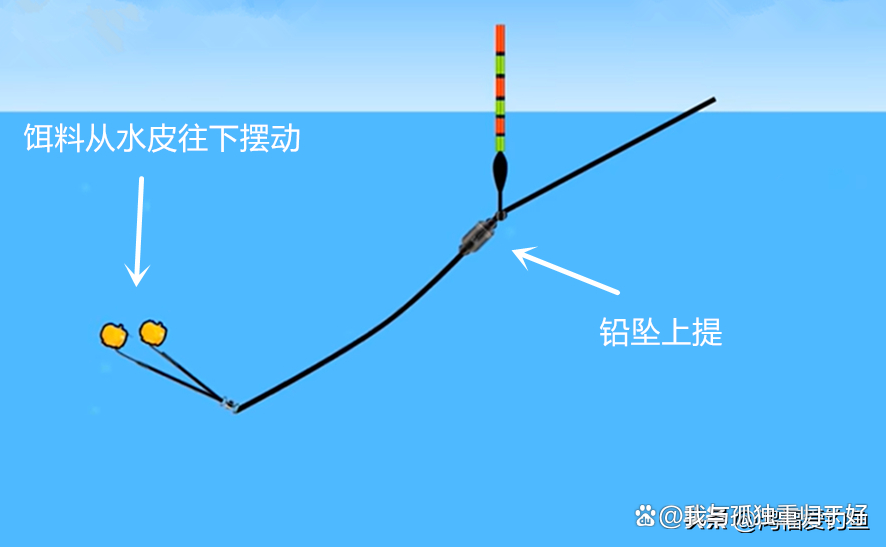 秋季野钓技巧(秋季野钓钓位图和鱼道图解)